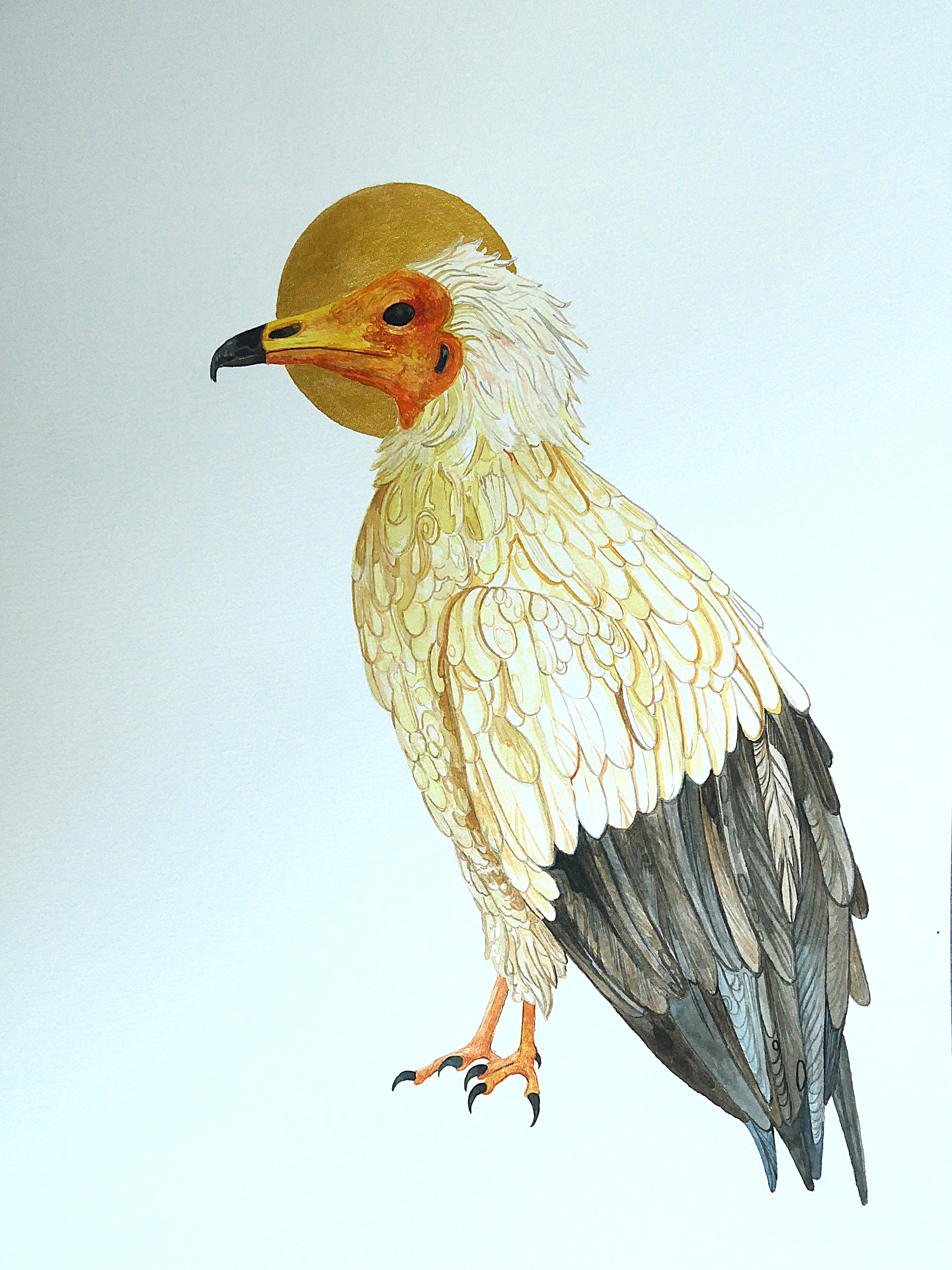 egyptian vulture in watercolor with golden halo