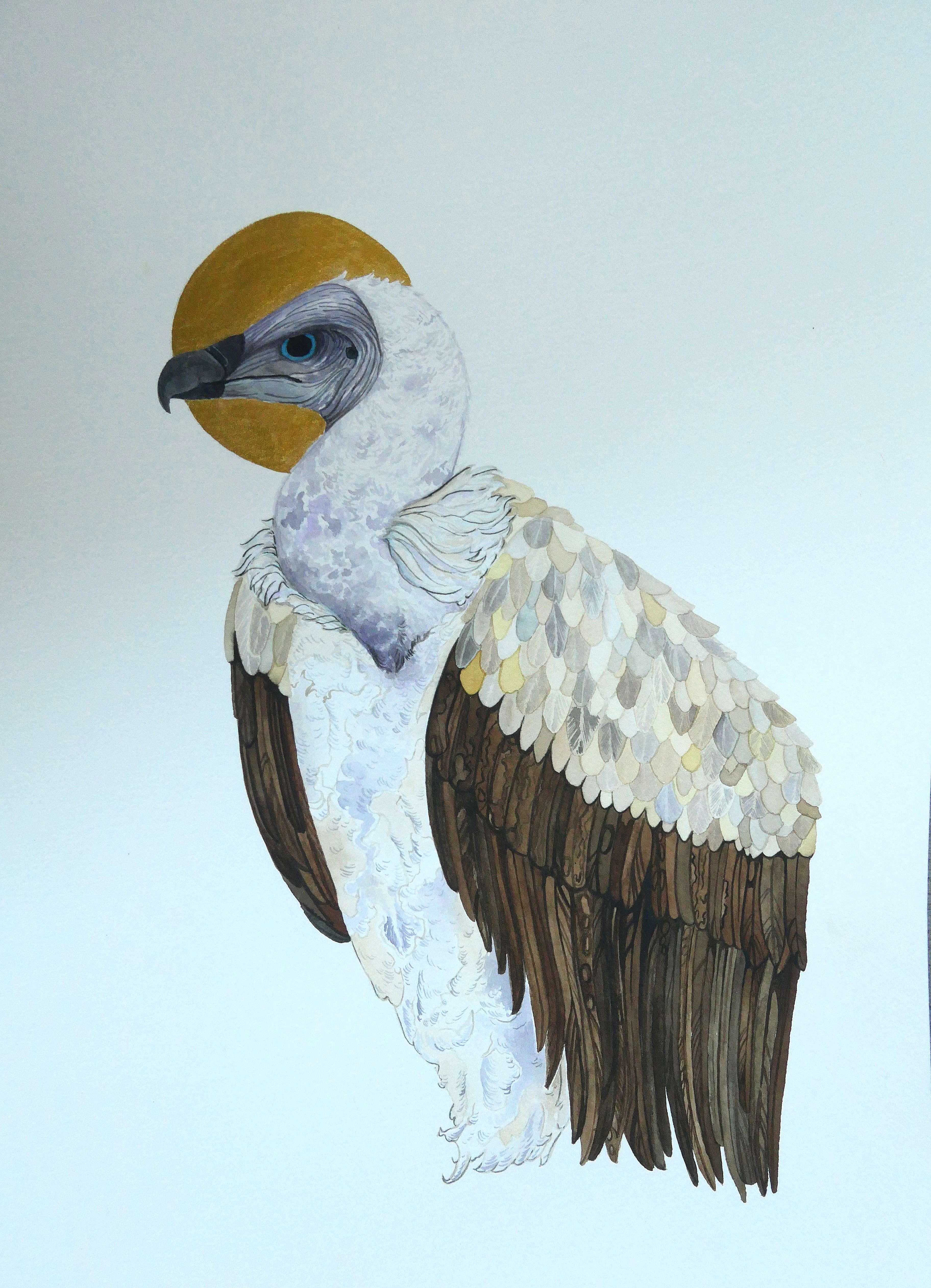 white backed vulture in watercolor with golden halo